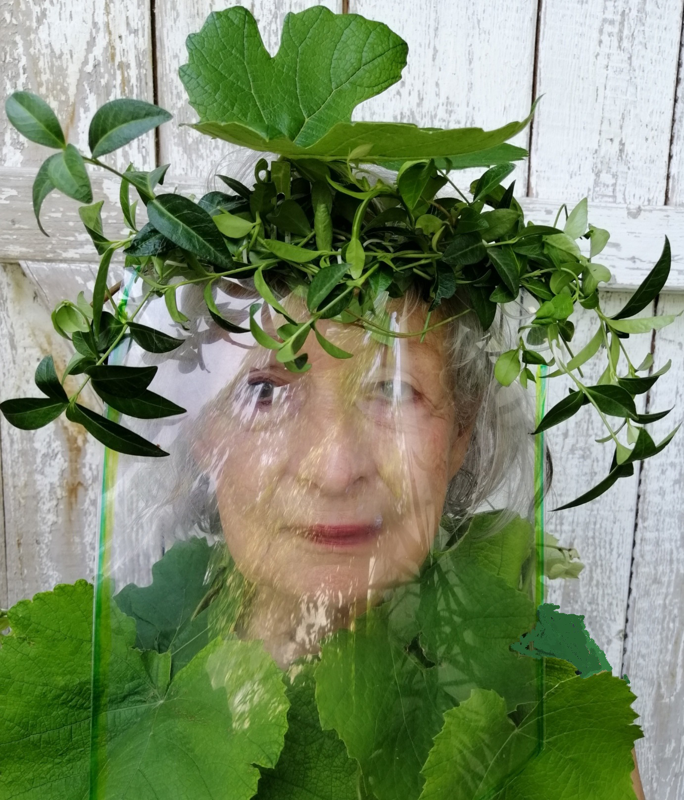 Profilbild 