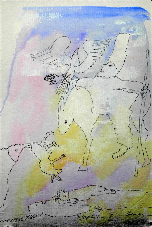 Bild