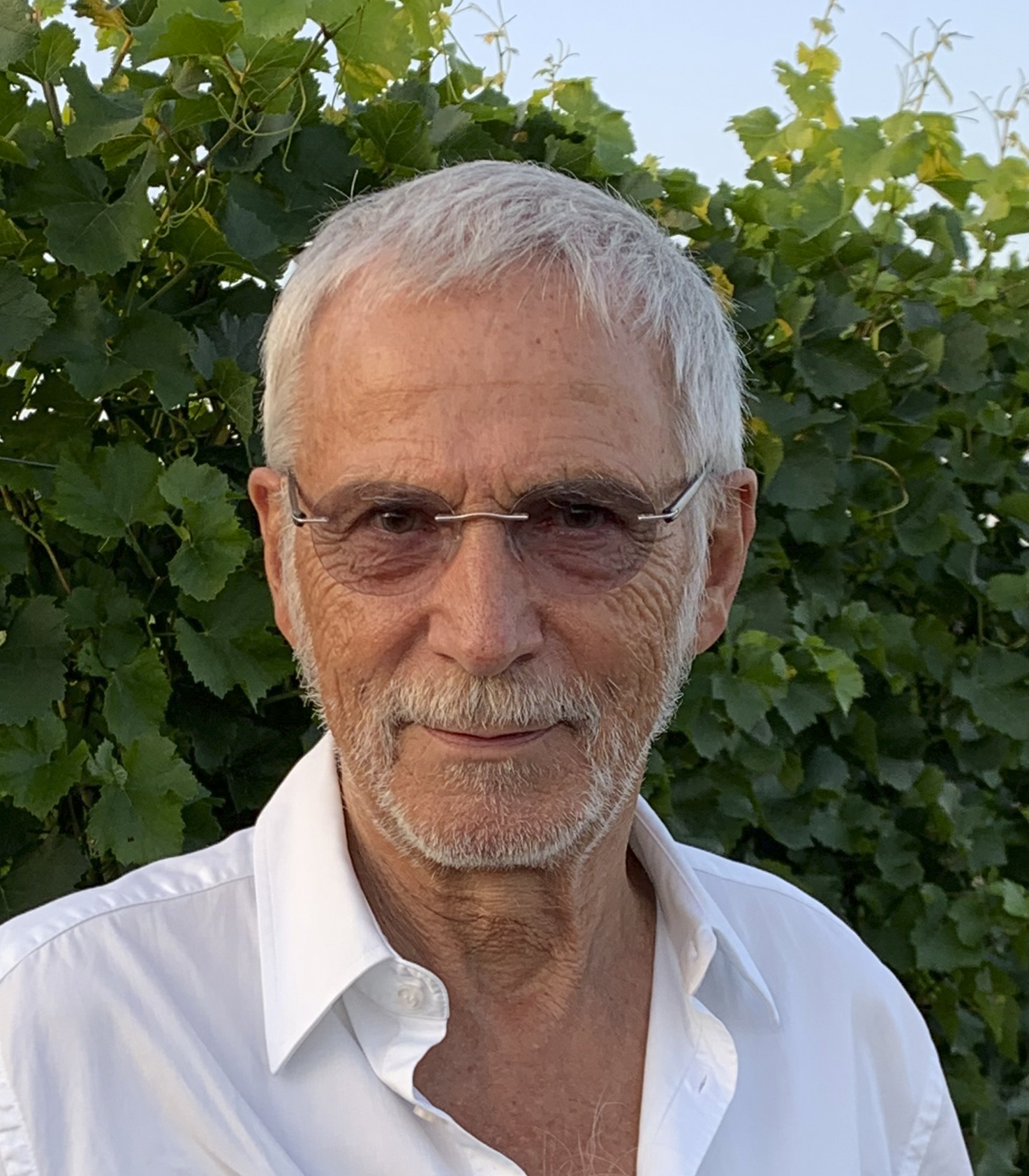 Profilbild