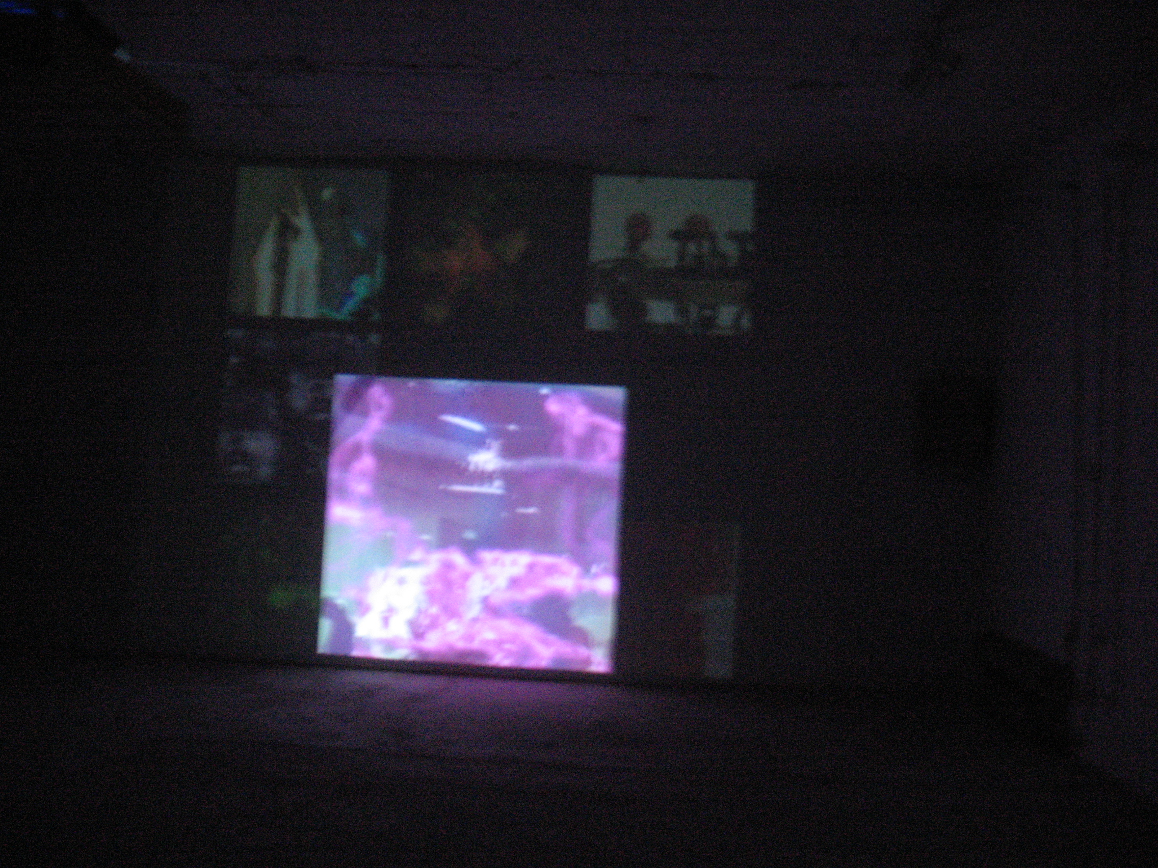 Bild