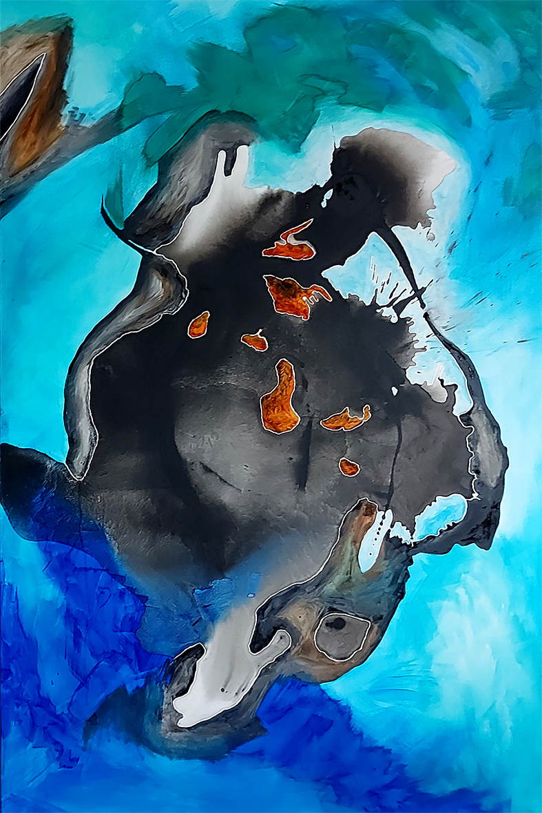Bild