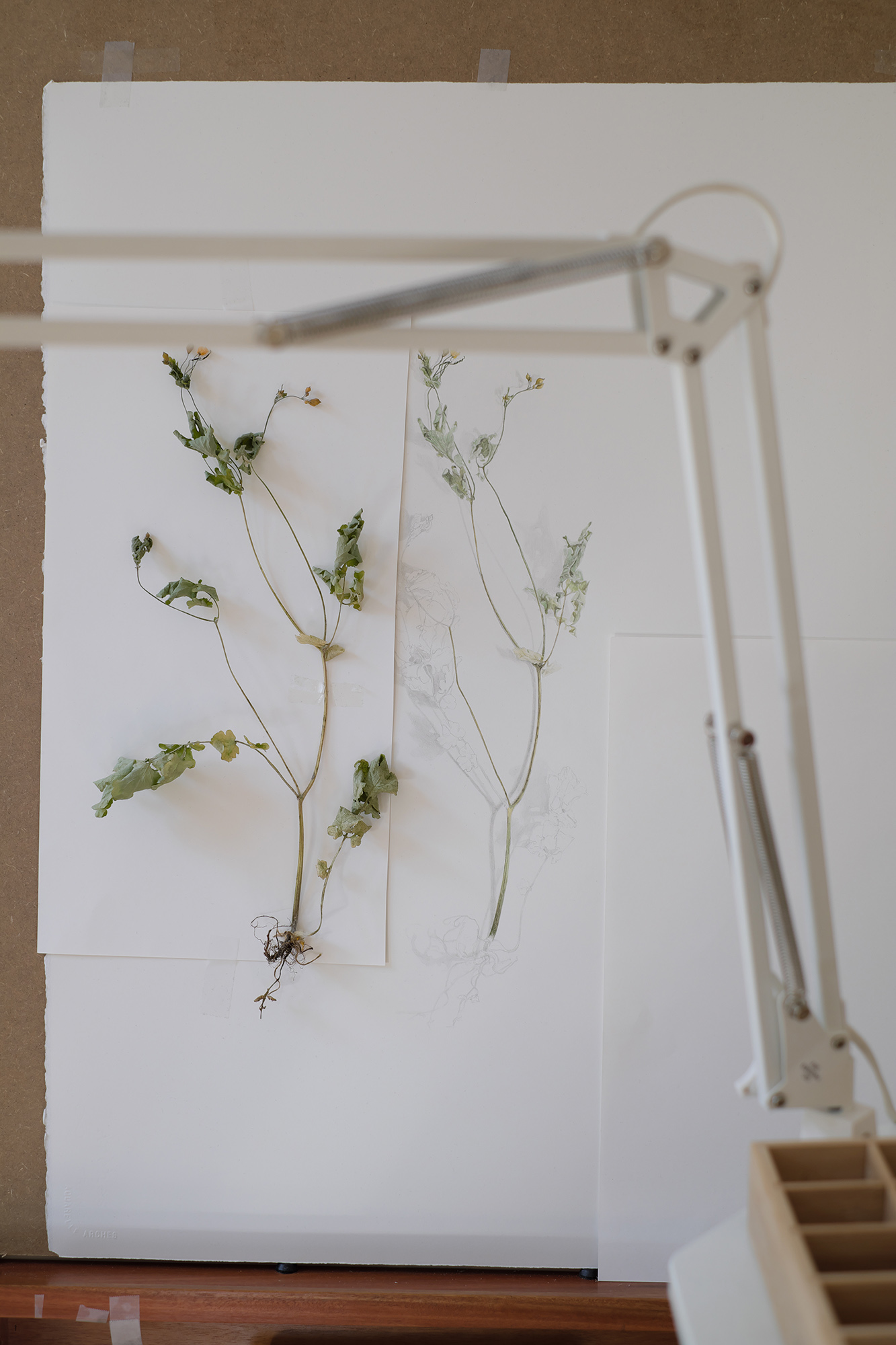Atelier