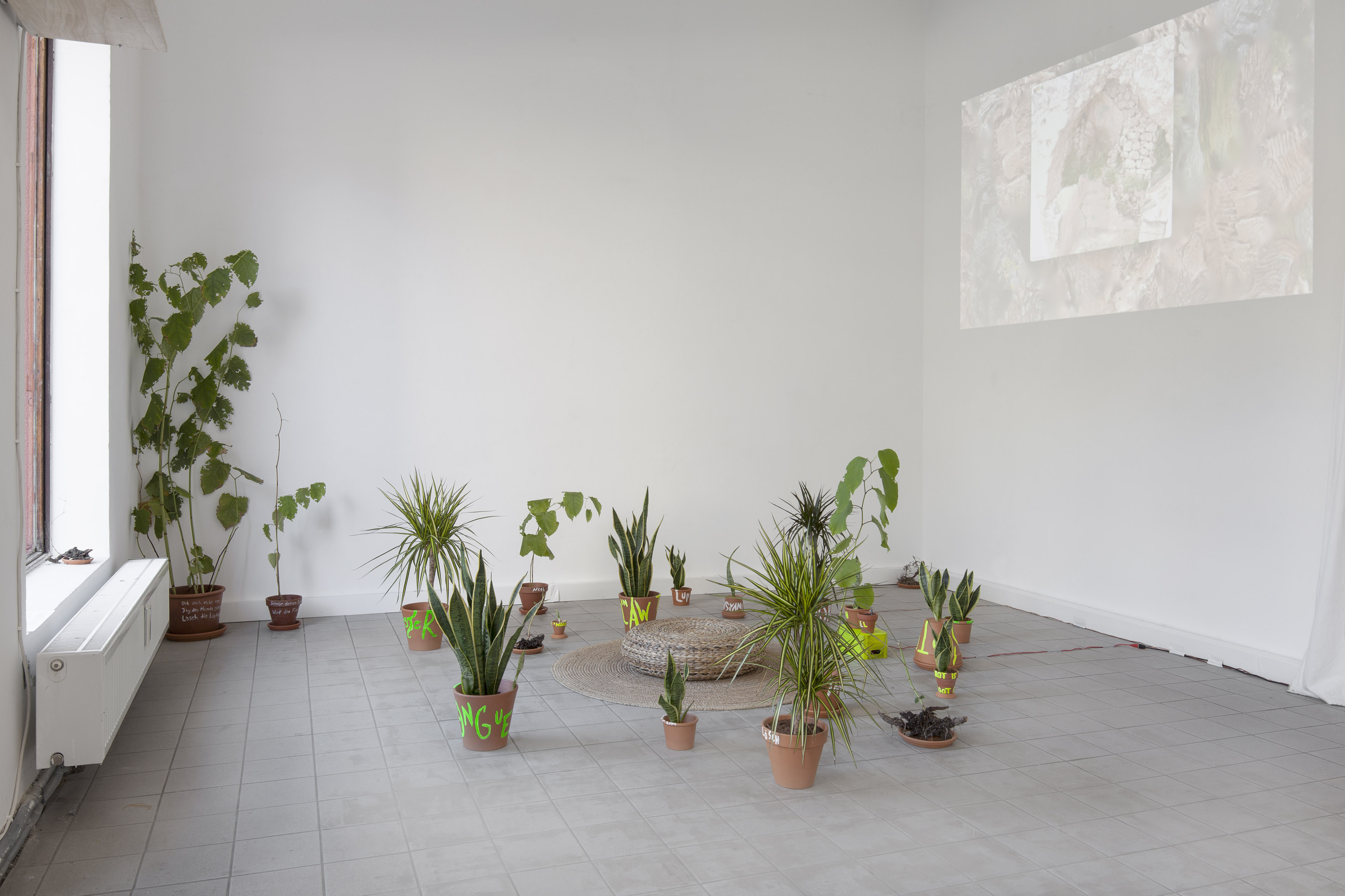Bild