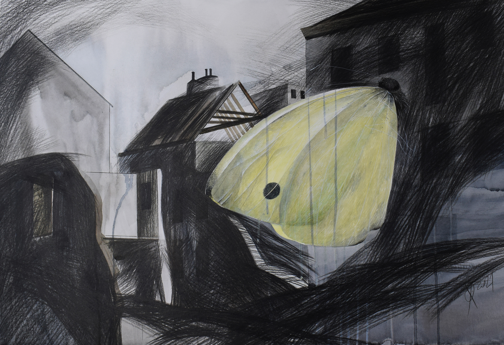 Bild