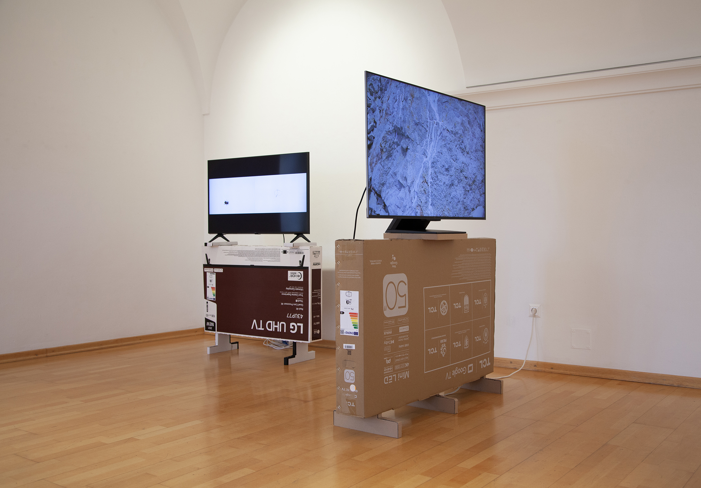 Bild