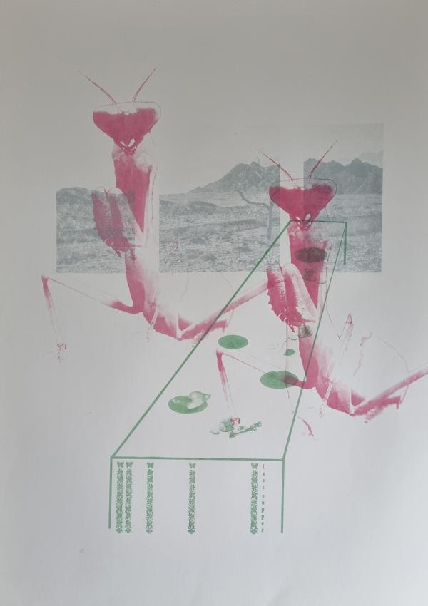 Bild